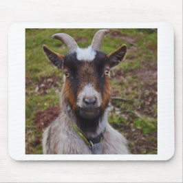 ヤギの近い上り マウスパッド