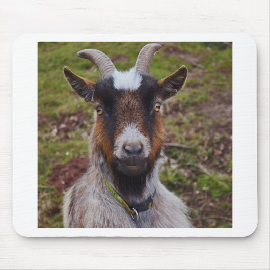 ヤギの近い上り マウスパッド (正面)