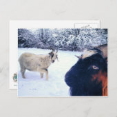 ヤギの電源はがき ポストカード (正面/裏面)