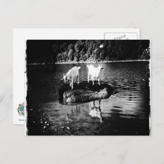 ヤギの電源はがき ポストカード (正面/裏面)