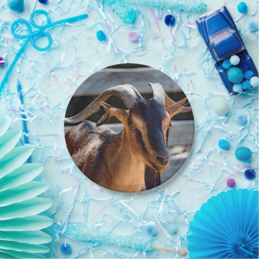 ヤギの黒角の動物写真 ペーパープレート (パーティー)