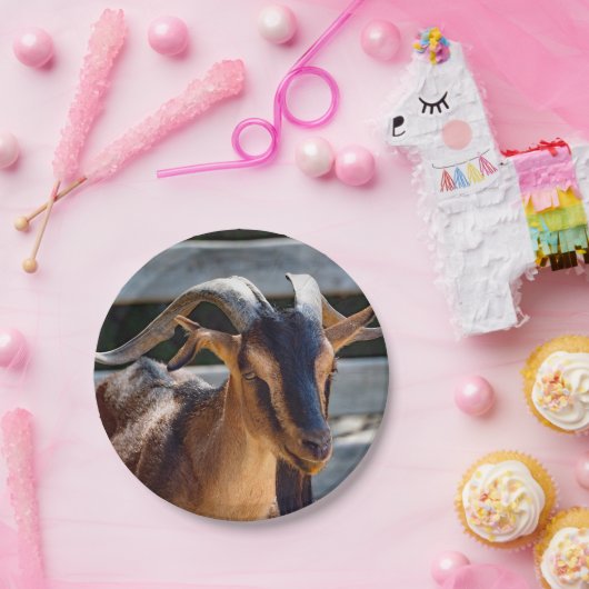 ヤギの黒角の動物写真 ペーパープレート (パーティー)