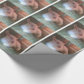 ヤギのDoelingの包装紙 ラッピングペーパー (角)