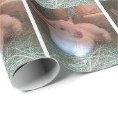 ヤギのDoelingの包装紙 ラッピングペーパー (ロールコーナー)