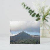 ヤギは倒れた。 ポストカード (スタンド正面)