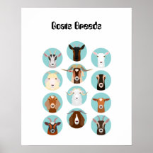 ヤギは頭を生む