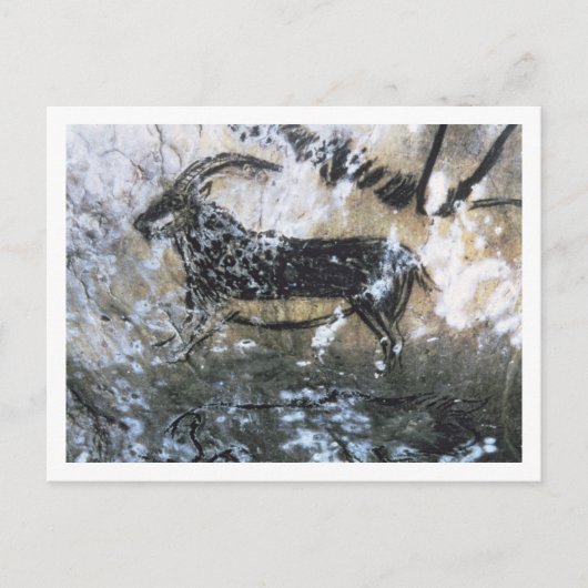 ヤギまたはシャモア、ブラックルームの岩画 ポストカード (正面)