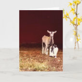 ヤギアートと彼の猫グリーティングカードの写真 カード (黄色い花)