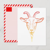 ヤギイラストレーション ポストカード (正面/裏面)