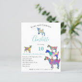 ヤギカラフルツファームアニマル10th誕生日予算 (スタンド正面)