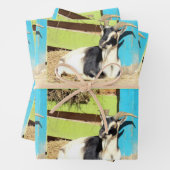 ヤギカラフルラッピングシート ラッピングペーパーシート (インサイチュ)