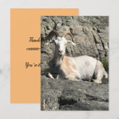 ヤギサンキューカード サンキューカード (正面/裏面)