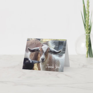 ヤギサンキューカード サンキューカード