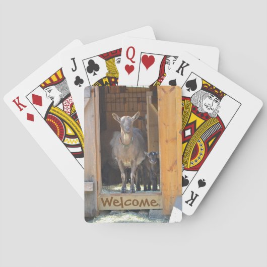 ヤギトランプ トランプ (裏面)