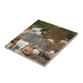 ヤギファンキーアジンジャーホワイトスタンディング歩く タイル (側面)