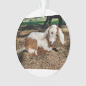 ヤギベビーオーナメント2写真 オーナメント (正面)