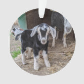 ヤギベビーオーナメント2写真 オーナメント (正面)