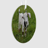 ヤギベビーオーナメント2写真 オーナメント (正面)