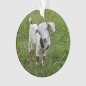 ヤギベビーオーナメント2写真 オーナメント (正面)