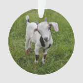 ヤギベビーオーナメント2写真 オーナメント (正面)