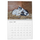 ヤギベビーカレンダー カレンダー (1月 2027)