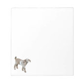 ヤギベビーノートパッド ノートパッド (正面)