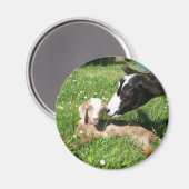 ヤギベビー磁石 マグネット (正面/裏面)