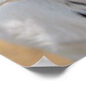 ヤギポートレート ポスター (角)