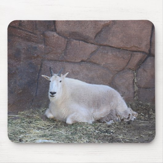 ヤギマウスパッド マウスパッド (正面)