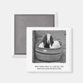 ヤギユーモアのあるスパデイマグネット マグネット (正面/裏面)