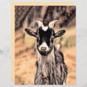 ヤギヴィンテージ素朴カントリーファーム (正面/裏面)