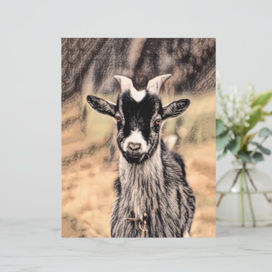 ヤギヴィンテージ素朴カントリーファーム (スタンド正面)