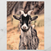 ヤギヴィンテージ素朴カントリーファーム (正面)