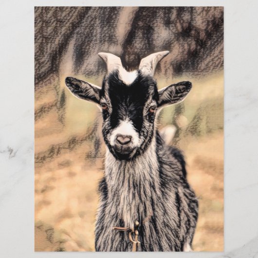 ヤギヴィンテージ素朴カントリーファーム (正面)