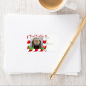 ヤギ写真ヤギのクリスマスギフトラベル ラベル (インサイチュ)