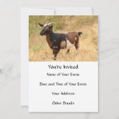 ヤギ写真 招待状 (正面)