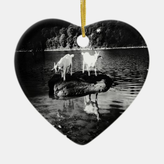 ヤギ力のオーナメント セラミックオーナメント (正面)