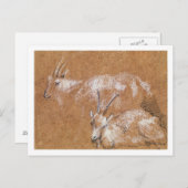 ヤギ勉強(スケッチ) ポストカード (正面/裏面)