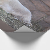 ヤギ包み紙 ラッピングペーパー (角)