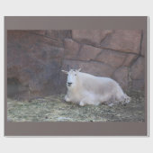 ヤギ包み紙 ラッピングペーパー (フラット)