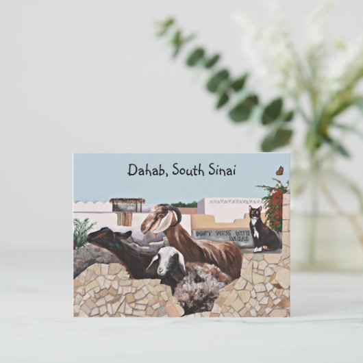 ヤギ挨拶III ポストカード (スタンド正面)