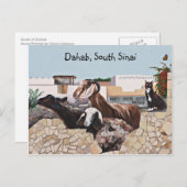 ヤギ挨拶III ポストカード (正面/裏面)