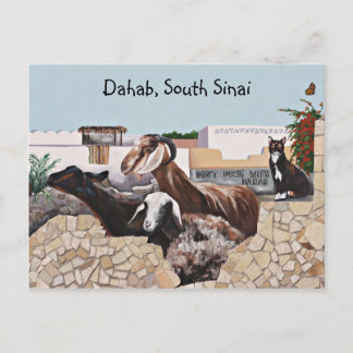 ヤギ挨拶III ポストカード