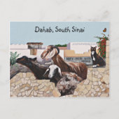 ヤギ挨拶III ポストカード (正面)