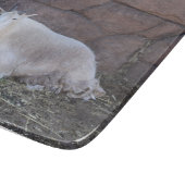 ヤギ用切断板 カッティングボード (角)