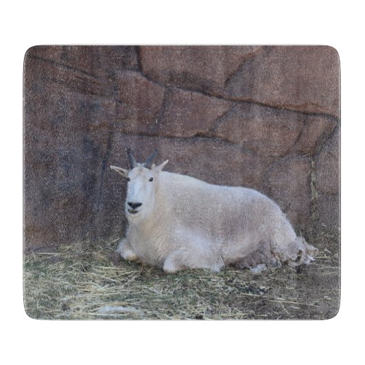 ヤギ用切断板 カッティングボード (正面)