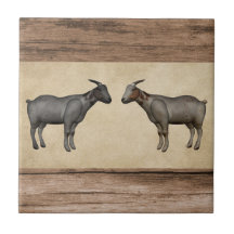ヤギ素朴と木目陶磁器タイル
