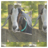 ヤギ織物 ファブリック (クローズアップ)