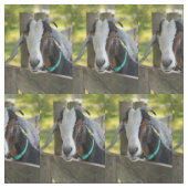 ヤギ織物 ファブリック (見本)