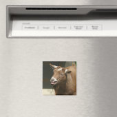 ヤギ肉 マグネット (インサイチュ (食洗機))